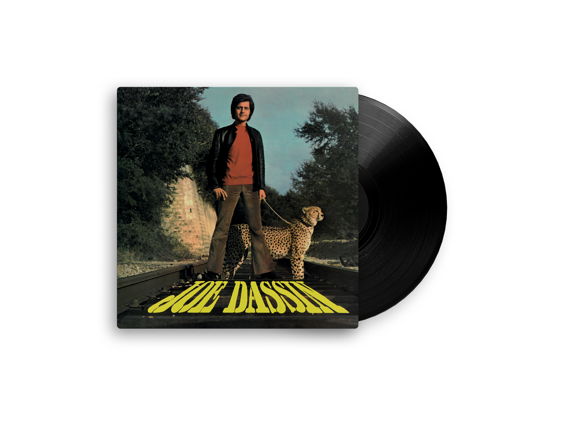 VINYLE LA FLEUR AUX DENTS